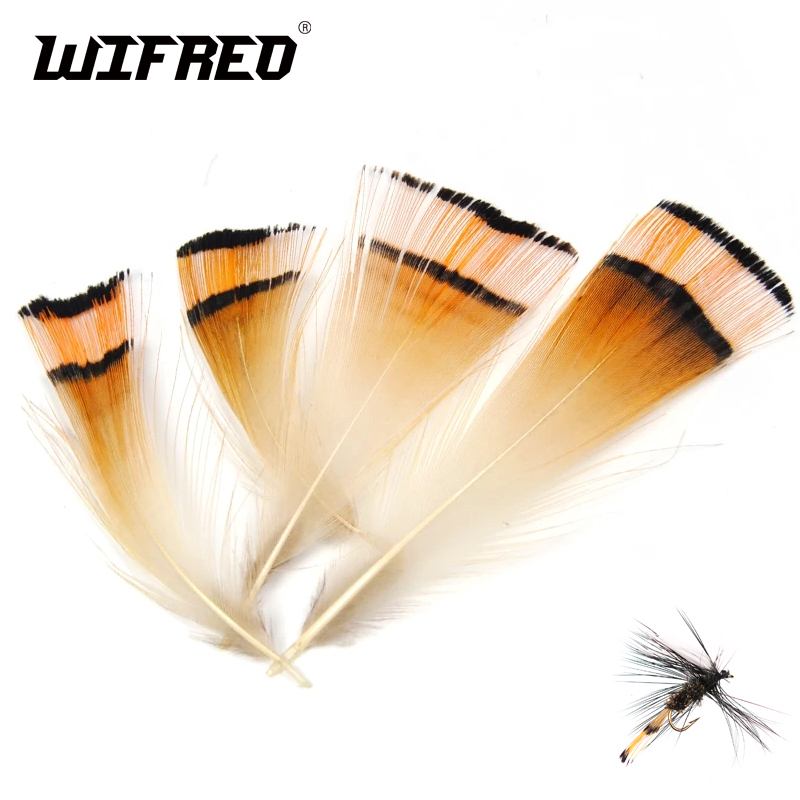 Fishing Equipment Brands - Lot de 50 pièces de tête
